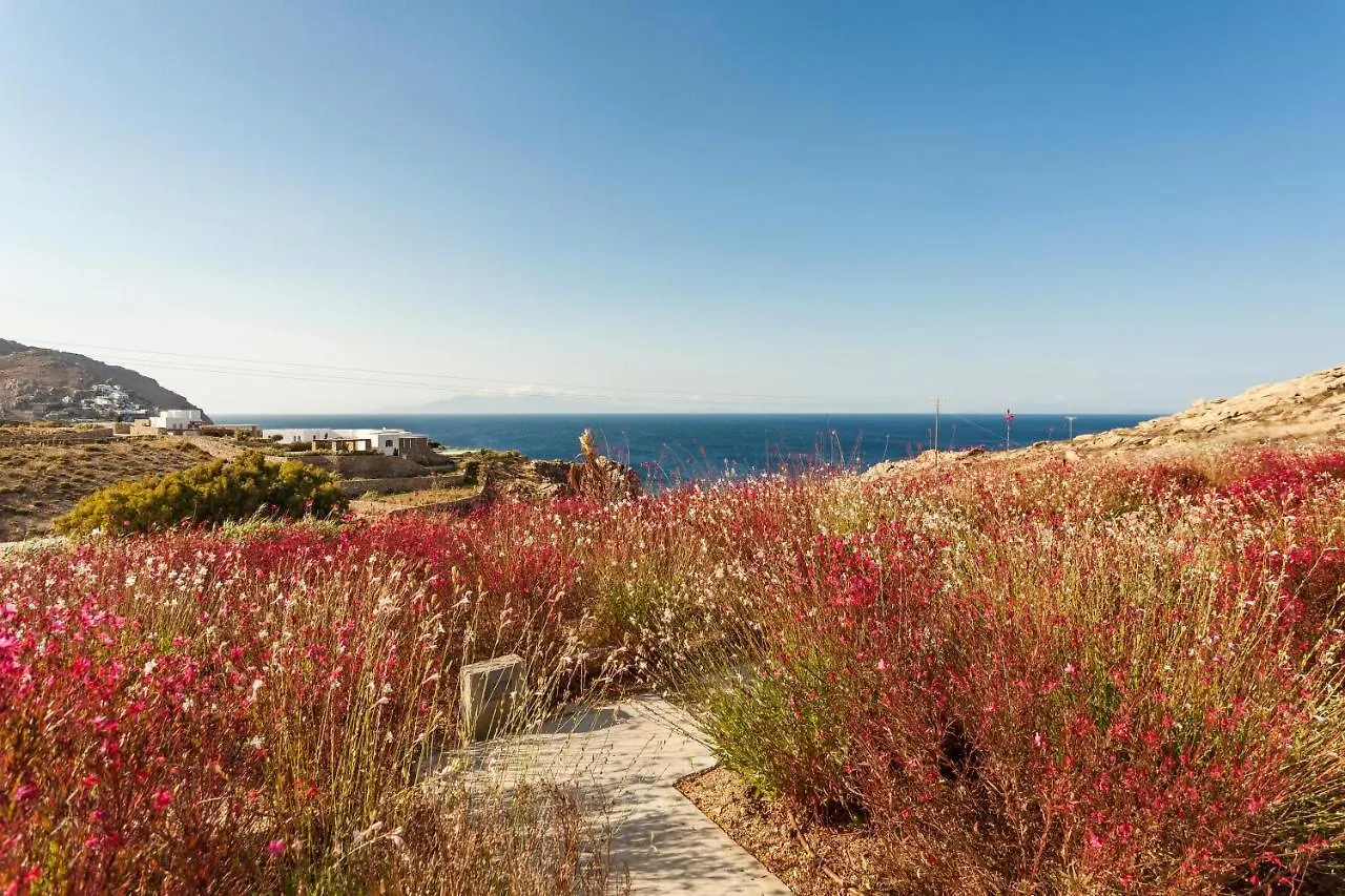 Anarina Villas & Suites Elia Beach Mykonos Town 0*,