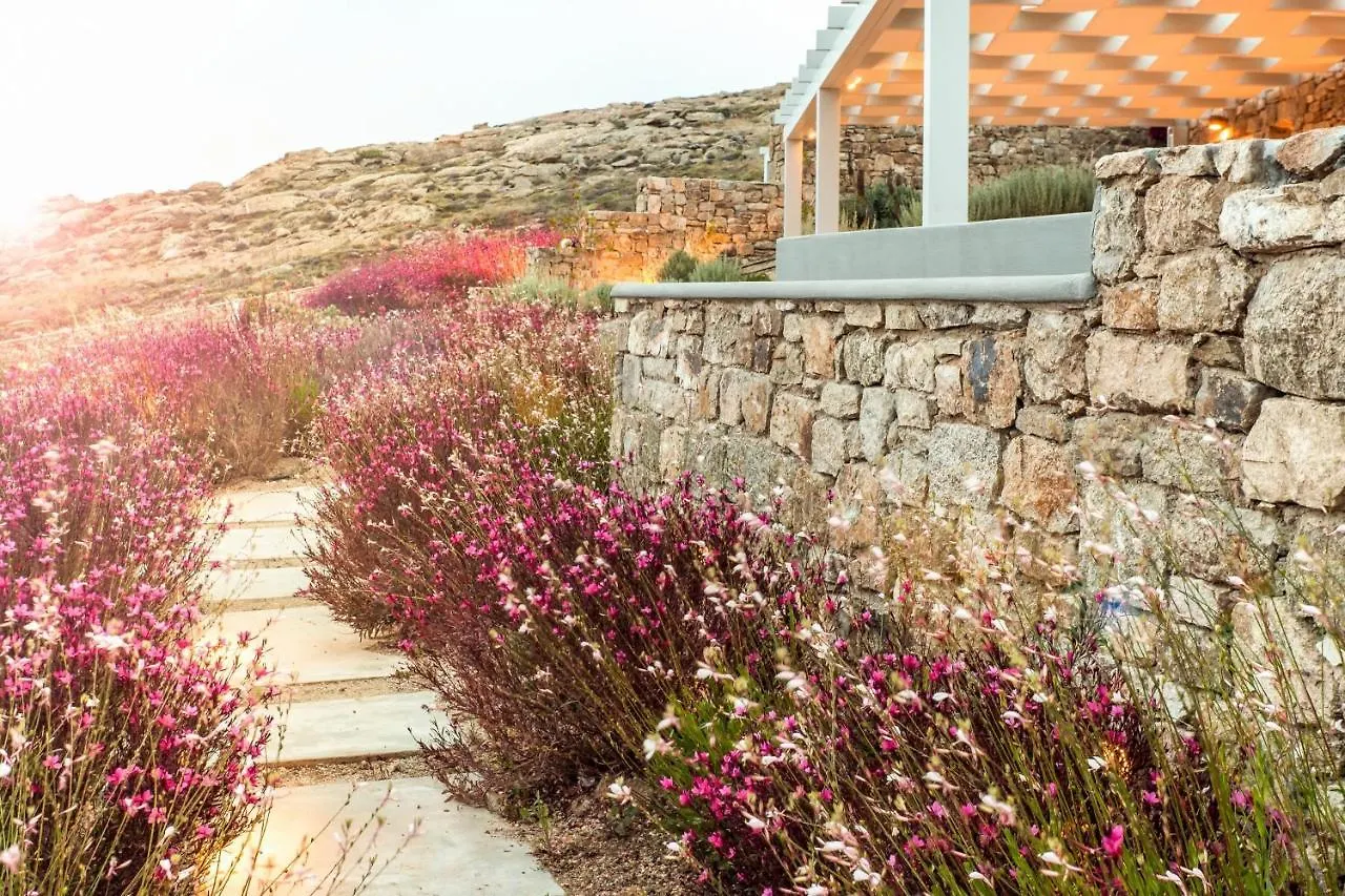 Anarina Villas & Suites Elia Beach Mykonos Town